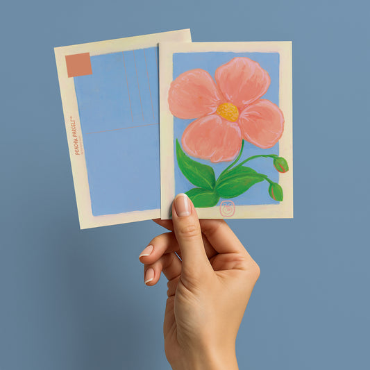 Gift Subscription — The Collector